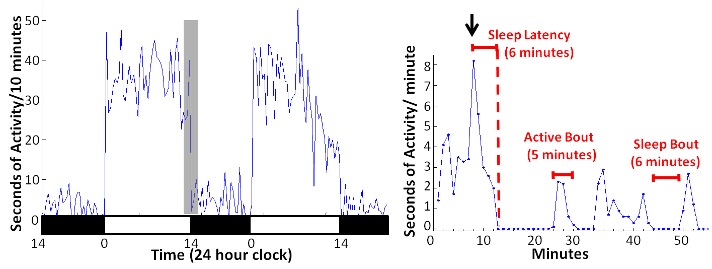 activity graph